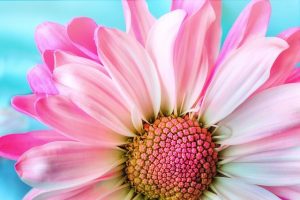 18 Bewegungen 1.Teil Qi Gong @ Webinar