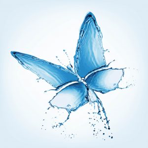 Hui Chun Gong Wochenendkurs @ Webinar