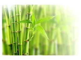Hui Chun Gong @ Webinar